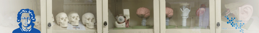 atahualpa_header_1 (old)