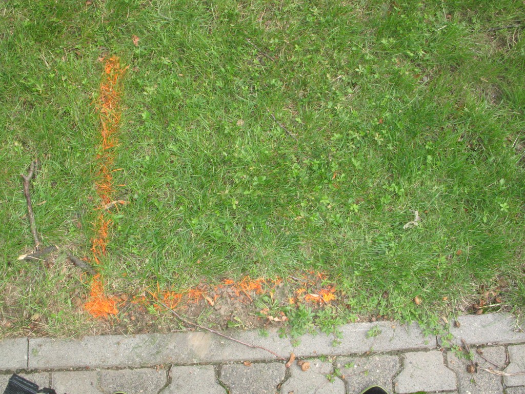 Hier kommt der Interimshörsaal hin!