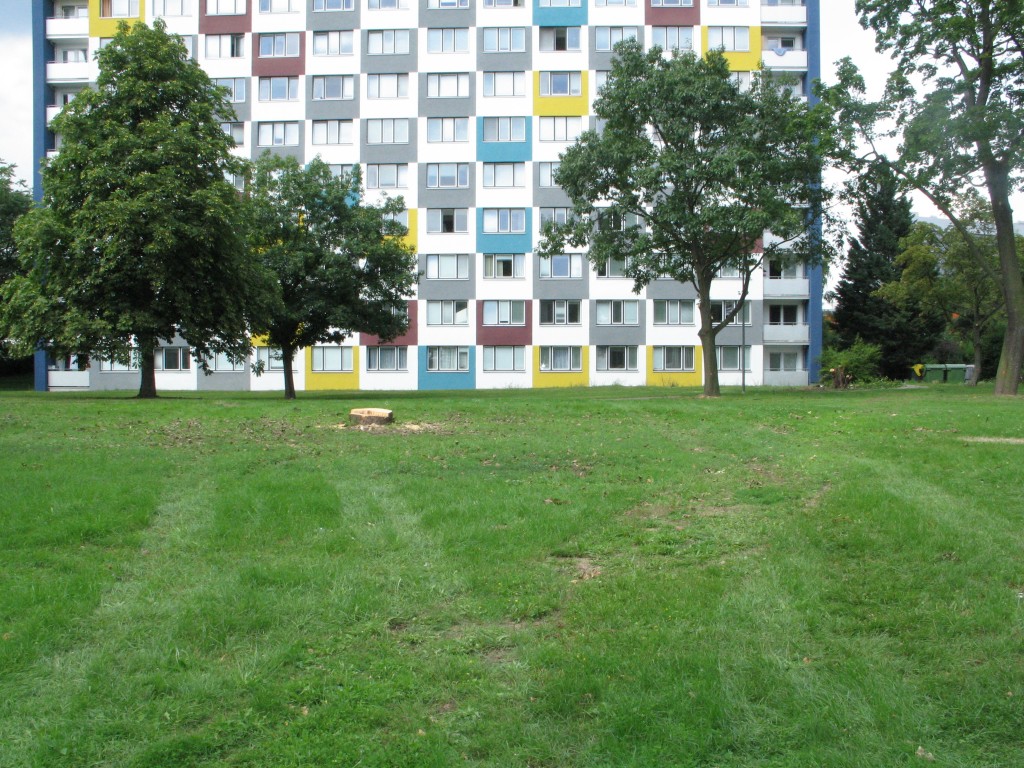 Baumstumpf vor Haus 56