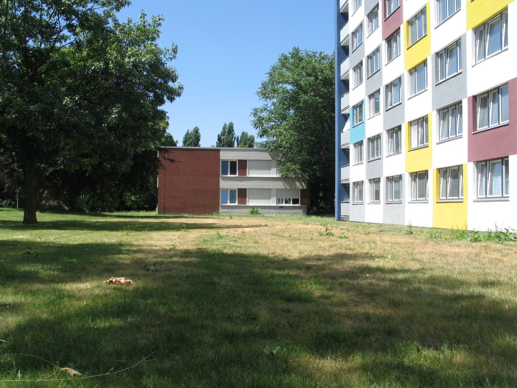 Rasenfläche hinter Haus 56, Überblick
