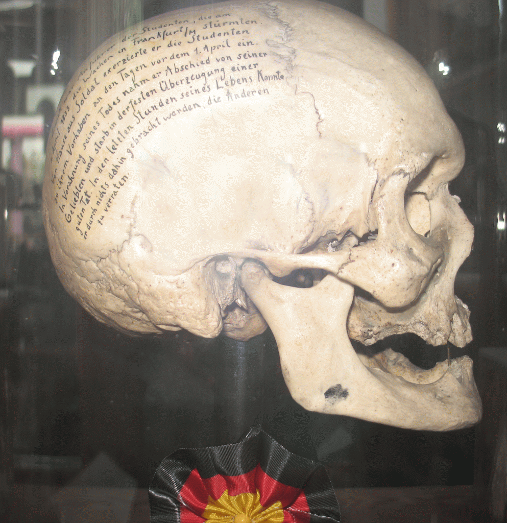 Schädel des P. H. Zwick, Beschriftung