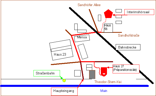 Weg zum Interimshörsaal