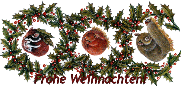 Winterschlaf