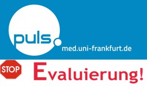 Pul_Evaluierung_Icon_klein